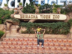 ศูนย์แท็กซี่บ่อวิน เรียกแท็กซี่ไปบ่อวิน เหมาแท็กซี่ไปบ่อวิน จองแท็กซี่ไปบ่อวิน จ้างแท็กซี่ไปบ่อวิน แท็กซี่รับส่งบ่อวิน แท็กซี่ไปกรุงเทพฯ แท็กซี่ไปสนามบินสุวรรณภูมิ แท็กซี่ไปสนามบินดอนเมือง แท็กซี่ไปต่างจังหวัด เบอร์โทรแท็กซี่ โทร.0966945526