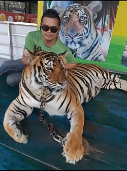 เหมาแท็กซี่จากกรุงเทพฯไปสถานทีทองเที่ยวทุกจังหวัดทั่วไทย โทร.0966945526