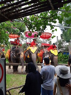 เหมาแท็กซี่จากกรุงเทพฯพาเที่ยวทุกจังหวัดทั่วไทยโทร.0966945526