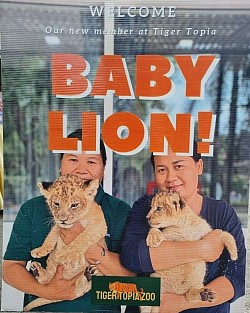 ศูนย์แท็กซี่ระยอง แท็กซี่ระยอง บริการรถรับส่ง กรุงเทพฯ สนามบินสุวรรณภูมิ สนามบินดอนเมือง และต่างจังหวัด โทร.0966945526