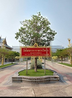 ศูนย์แท็กซี่ฉะเชิงเทรา เรียกแท็กซี่ไปฉะเชิงเทรา เหมาแท็กซี่ไปฉะเชิงเทรา จองแท็กซี่ไปฉะเชิงเทรา จ้างแท็กซี่ไปฉะเชิงเทรา แท็กซี่รับส่งฉะเชิงเทรา แท็กซี่ไปกรุงเทพฯ แท็กซี่ไปสนามบินสุวรรณภูมิ แท็กซี่ไปสนามบินดอนเมือง แท็กซี่ไปต่างจังหวัด เบอร์โทรแท็กซี่ฉะเชิงเทรา โทร.0966945526